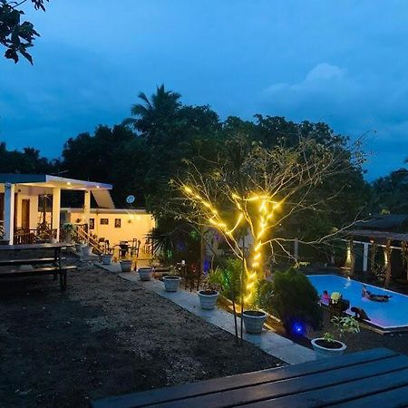 Lily Resort Udawalawe Bagian luar foto