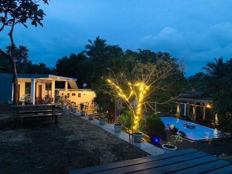Lily Resort Udawalawe Bagian luar foto