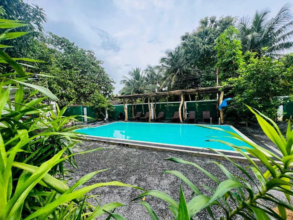 Lily Resort Udawalawe Bagian luar foto